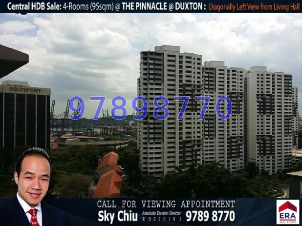 Blk 1F The Pinnacle@Duxton (Bukit Merah), HDB 4 Rooms #45103622
